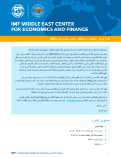 نشرة المركز - العدد 22