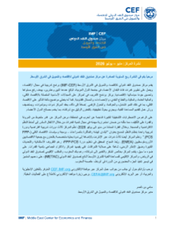 نشرة المركز - العدد 24